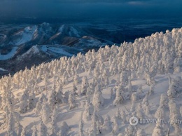 В Украине начало снежить - сразу несколько популярных курортов уже не узнать