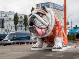 В Киеве на Петровке появился огромный бульдог: что значит новая скульптура