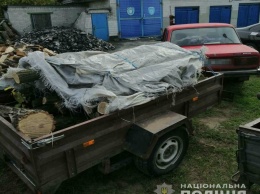 В Петропавловке полиция задержала незаконного лесоруба