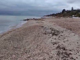 Осень на Азовском море - интересное видео