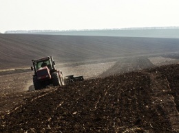 Снижение плодородия и потеря урожая: кто и как истощает украинские почвы