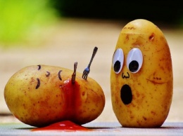 Роспотребнадзор Петербурга предупреждает об опасности отравления картофелем, помидорами и баклажанами