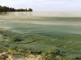 Глобальное потепление сделало озера более токсичными