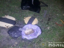 В Павлограде полицейские поймали железнодорожного вора и нашли у него полкило тротила