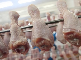 На комбинате питания на Николаевщине обнаружили курятину с сальмонеллой