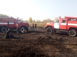В Киевской области из-за безответственности жителей продолжают гореть торфяники
