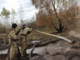 В Черкасской области уже неделю тушат горящие торфяники (видео)