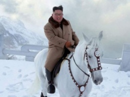 Король севера: Ким Чен Ын, покоривший гору верхом на белом коне, стал героем мемов