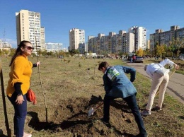 Парку быть: чиновники пообещали оставить зеленую зону на поселке Котовского
