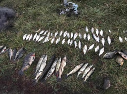 В Днепропетровской области задержали браконьера с уловом на 7,5 тысяч гривен