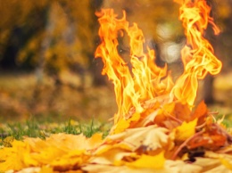 Сожженная листва: Штрафы за дым и еще кое-что, чего вы не знали о сжигании листьев