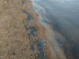 На побережье Азовского моря мариупольцы увидели в воде черные пятна,- ФОТО, ДОПОЛНЕНО