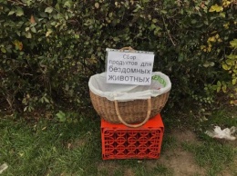 Жители Вольногорска установили «корзину милосердия» для помощи бездомным животным