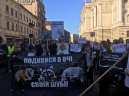 Во Львове прошел "антимеховой марш"