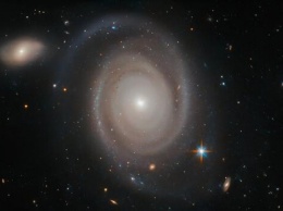 "Хаббл" получил снимок спиральной галактики из созвездия Золотой Рыбы