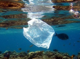 Названы основные загрязнители планеты пластиком