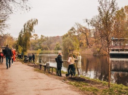 В Киеве в парке "Нивки" появились 23 ивы: кто их посадил