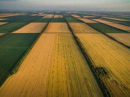 В Киевской области фермер захватил 35 гектаров земли