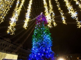 Стало известно, когда в Киеве начнут устанавливать главную новогоднюю елку