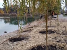 В парке "Партизанской славы" высадили более 20 деревьев, - ФОТО
