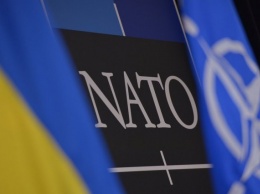 НАТО не предлагает новых программ помощи Украине - обозреватель