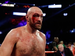 Фьюри бросил вызов рекордсмену и действующему чемпиону UFC в тяжелом весе
