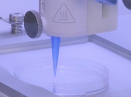 Ученые впервые напечатали на 3D-принтере кожу с сосудами