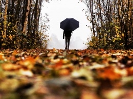 Будет мокро и сыро, а еще очень ветрено, но тепло! Погода в Украине на 5 ноября