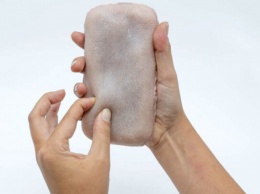 Ученым удалось создать искусственную кожу для гаджетов (ФОТО)