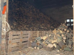 В Кривом Роге в ходе обыска на предприятии нашли склад незаконно срубленной древесины, - ФОТО