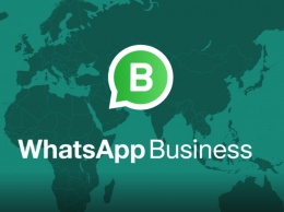 В WhatsApp Business появились каталоги: что это такое