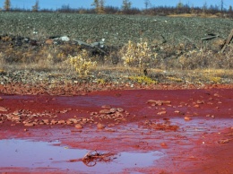 ЧП на Ивано-Франковщине: в городе Калуш вода в реке стала красного цвета, что происходит