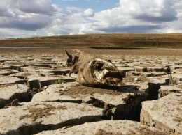 В Крыму пересохли реки из-за засухи - гидролог