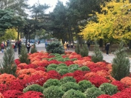 Мелитополь осенью выглядит невероятно красиво (фоторепортаж)