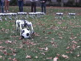 В сети появилось видео, где роботы-собаки от MIT бегают, прыгают и играют в футбол