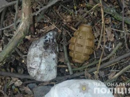В Винницкой области нашли рюкзак с гранатами