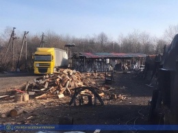 В Житомирской области раскрыли незаконный экспорт древесины на 14 млн грн - СБУ