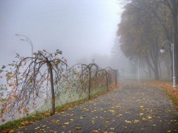 Погода на 14 ноября: где в Украине будет теплее всего