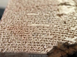 Хлеб из пива, бульоны и рагу: ученые расшифровали древнейшие в истории рецепты