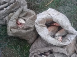 В Кривом Роге правоохранители задержали двух мужчин за незаконный вылов рыбы