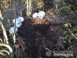 На Днепропетровщине местный житель хранил в лесополосе пакеты с наркотиками