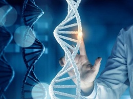Ученые обнаружили более миллиона альтернатив ДНК
