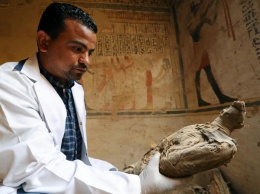 Ученые раскрыли тайну священных птичьих мумий Древнего Египта