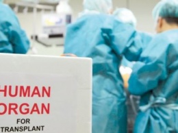 Почему в запорожских больницах не хотят связываться с трансплантацией