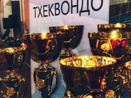 Спортсмены из Кривого Рога привезли награды с соревнований Чемпионата Украины