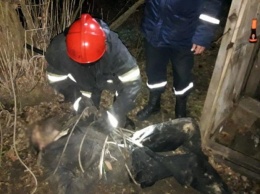 На Днепропетровщине мужчина провалился в 7-метровую яму уличного туалета