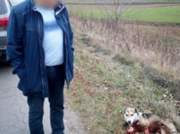 Активисты требуют расследовать издевательство хмельницкого чиновника над собакой