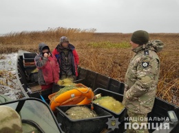 Под Киевом супруги ловили "чернобыльскую" рыбу