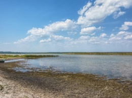 Украинцы просят Зеленского помочь спасти озеро Свитязь от обмеления