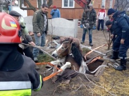 Под Ровно бойцы ГСЧС вместе с селянами спасли коня
